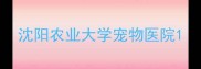 沈阳农业大学宠物医院