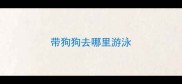 带狗狗去哪里游泳