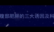 拉布拉多犬腹部肥胖的三大诱因及科学干预方案