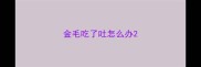 金毛吃了吐怎么办