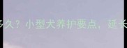 泰迪犬寿命能活多久小型犬养护要点延长狗狗寿命的5大秘诀