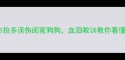 救命我家拉布拉多误伤闺蜜狗狗血泪教训教你看懂犬只友好训练