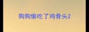 狗狗偷吃了鸡骨头
