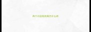 两个月边牧的尾巴什么样