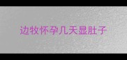 边牧怀孕几天显肚子