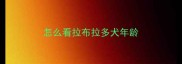 怎么看拉布拉多犬年龄