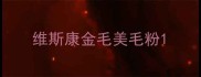 维斯康金毛美毛粉