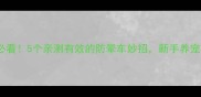 自驾游带狗必看5个亲测有效的防晕车妙招新手养宠家长速存