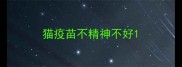 猫疫苗不精神不好