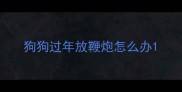 狗狗过年放鞭炮怎么办