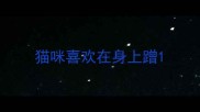 猫咪喜欢在身上蹭