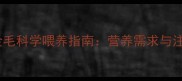 三个月大金毛科学喂养指南营养需求与注意事项全