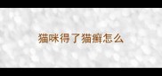 猫咪得了猫癣怎么