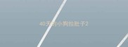 40天的小狗拉肚子