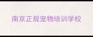 南京正规宠物培训学校