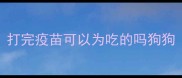 打完疫苗可以为吃的吗狗狗