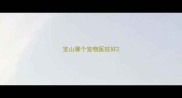 宝山哪个宠物医院好