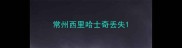 常州西里哈士奇丢失