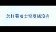 怎样看哈士奇发烧没有
