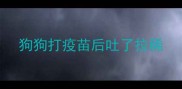 狗狗打疫苗后吐了拉稀
