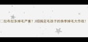 拉布拉多掉毛严重3招搞定毛孩子的换季掉毛大作战