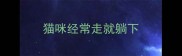 猫咪经常走就躺下