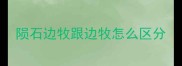 陨石边牧跟边牧怎么区分