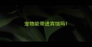 宠物能带进宾馆吗