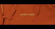 边牧奥斯卡海盗脸