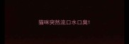 猫咪突然流口水口臭
