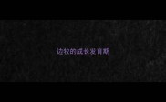边牧的成长发育期