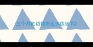 三个月的边牧怎么训练坐下