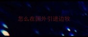 怎么在国外引进边牧
