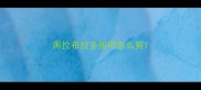 黑拉布拉多指甲怎么剪