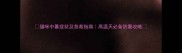 猫咪中暑症状及急救指南高温天必备防暑攻略