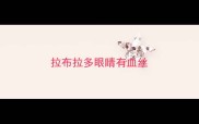 拉布拉多眼睛有血丝