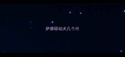 萨摩耶幼犬几个月