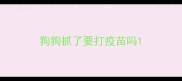 狗狗抓了要打疫苗吗