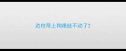 边牧带上狗绳就不动了