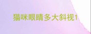 猫咪眼睛多大斜视