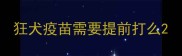 狂犬疫苗需要提前打么