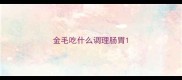 金毛吃什么调理肠胃