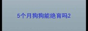 5个月狗狗能绝育吗