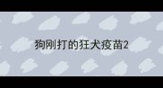 狗刚打的狂犬疫苗