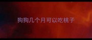 狗狗几个月可以吃桃子
