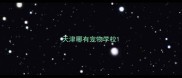 天津哪有宠物学校