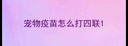 宠物疫苗怎么打四联