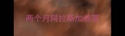 两个月阿拉斯加感冒