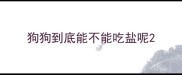 狗狗到底能不能吃盐呢