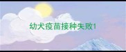 幼犬疫苗接种失败